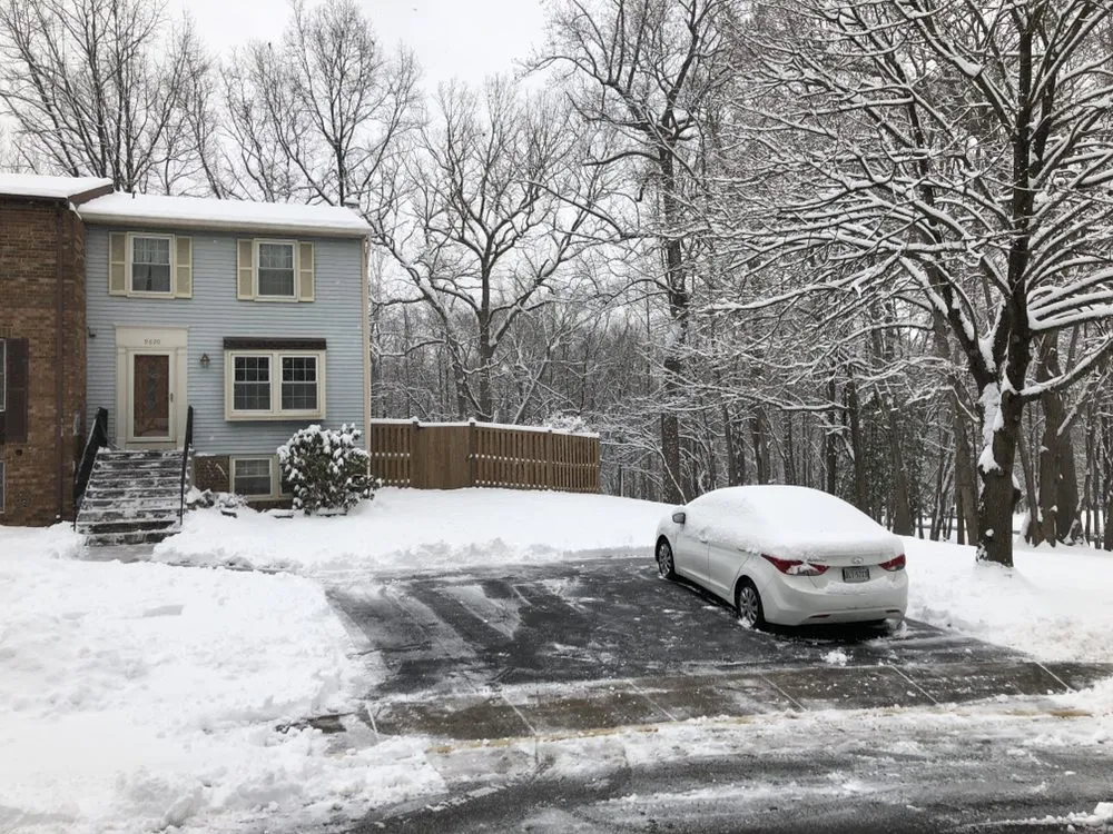 Local yard cleanup service in Alexandria, VA by I'll Take Care Of That