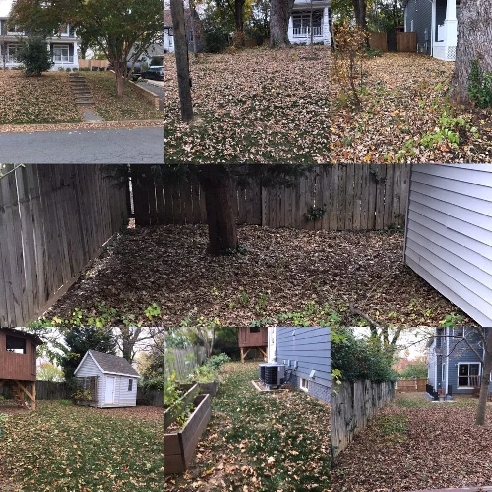 Top-rated yard maintenance for homes in Alexandria, VA by I'll Take Care Of That