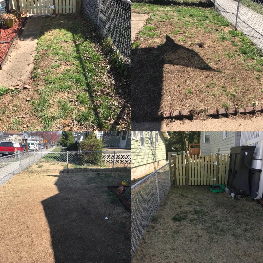 Trusted lawn mowing service near you in Alexandria, VA by I'll Take Care Of That