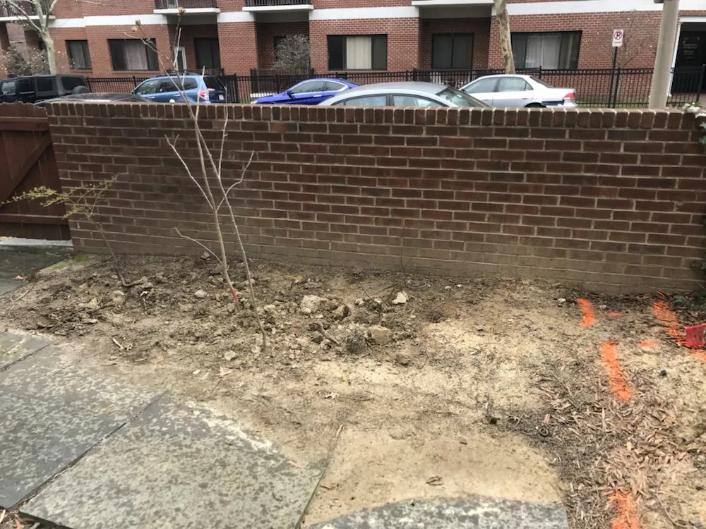 Local landscaping services in Alexandria, VA by I'll Take Care Of That