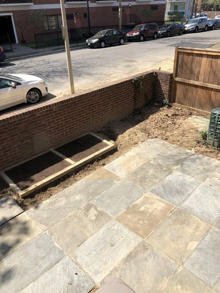 Reliable yard cleanup service for year-round maintenance in Alexandria, VA by I'll Take Care Of That