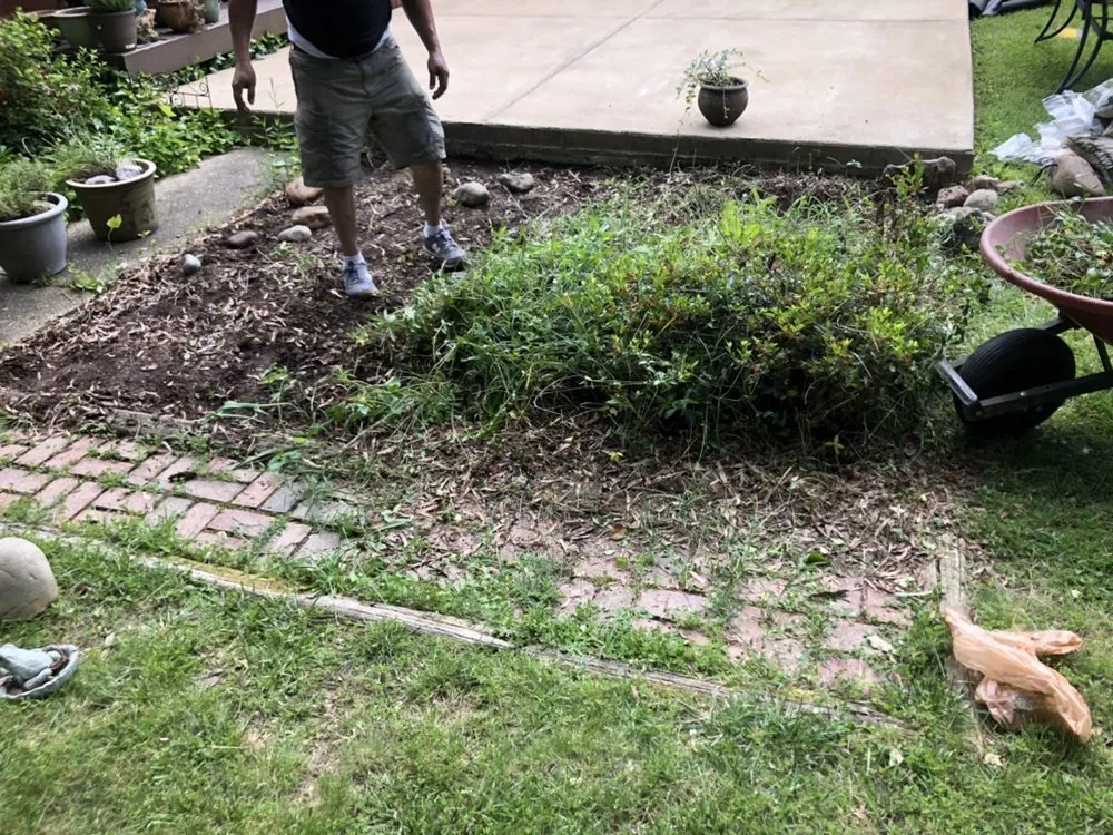 Affordable residential landscaping for year-round maintenance in Alexandria, VA by I'll Take Care Of That