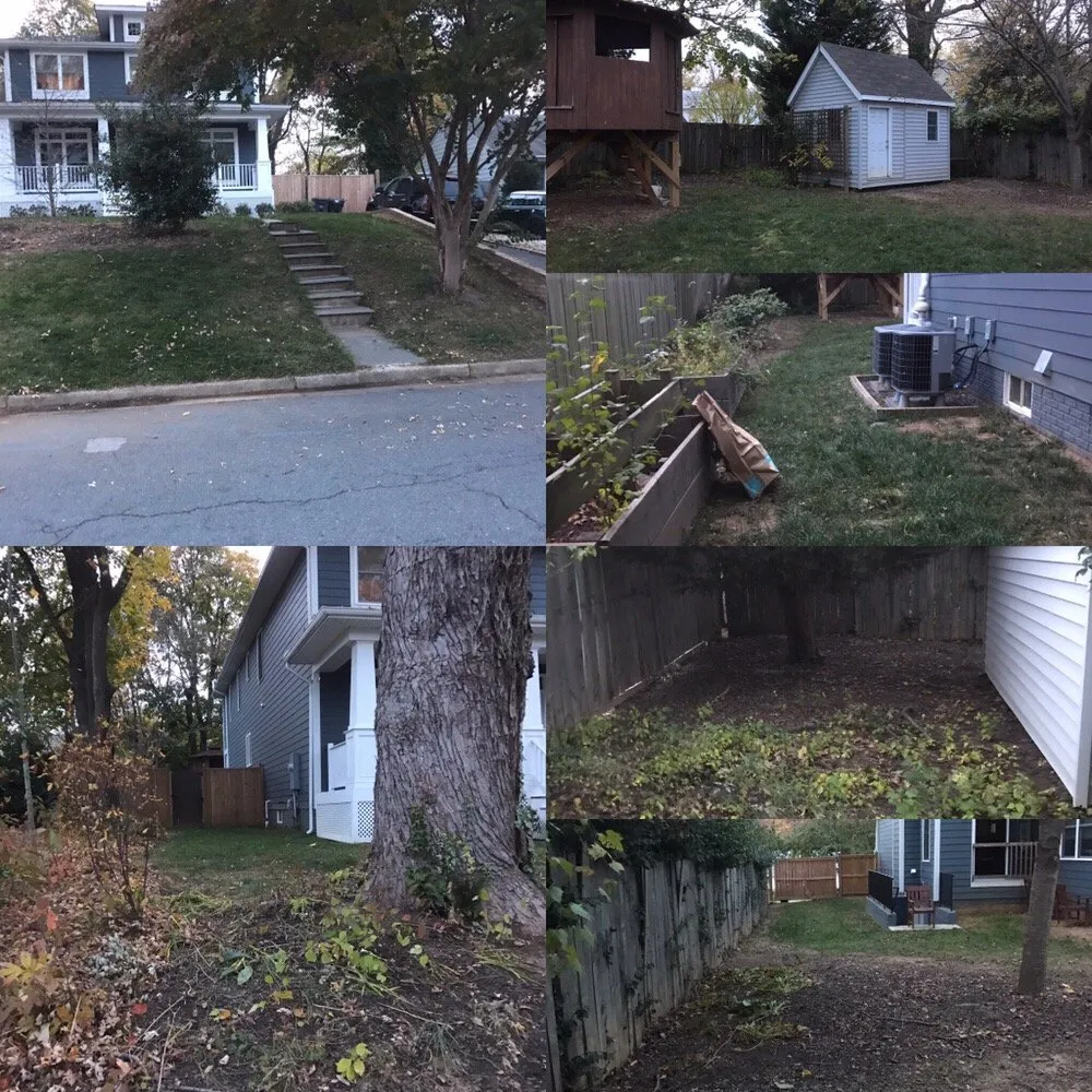 Trusted outdoor landscaping for residential properties in Alexandria, VA by I'll Take Care Of That