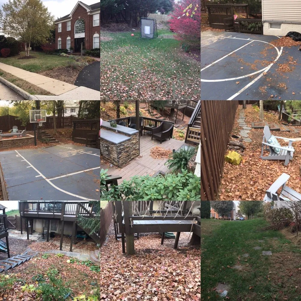 Local residential landscaping in Alexandria, VA by I'll Take Care Of That