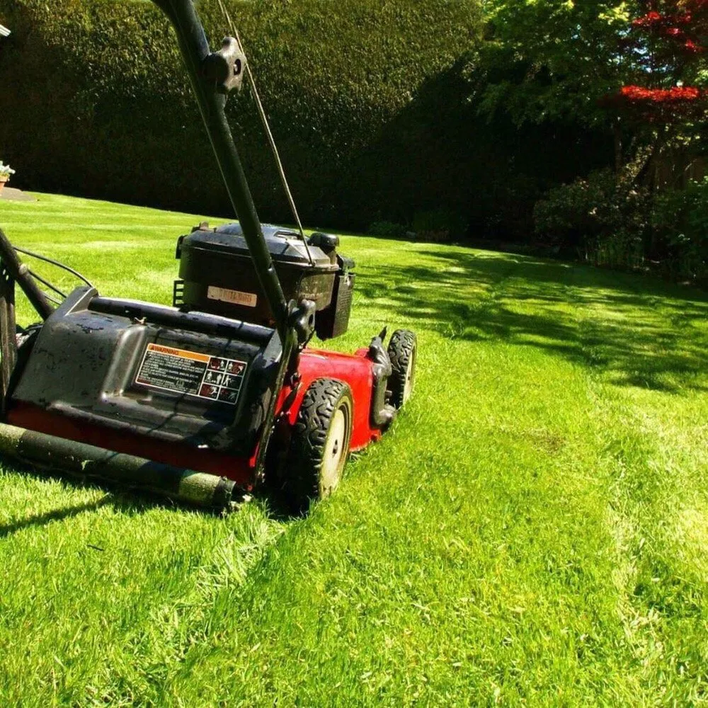 Top-rated lawn mowing service for homes in Alexandria, VA by I'll Take Care Of That