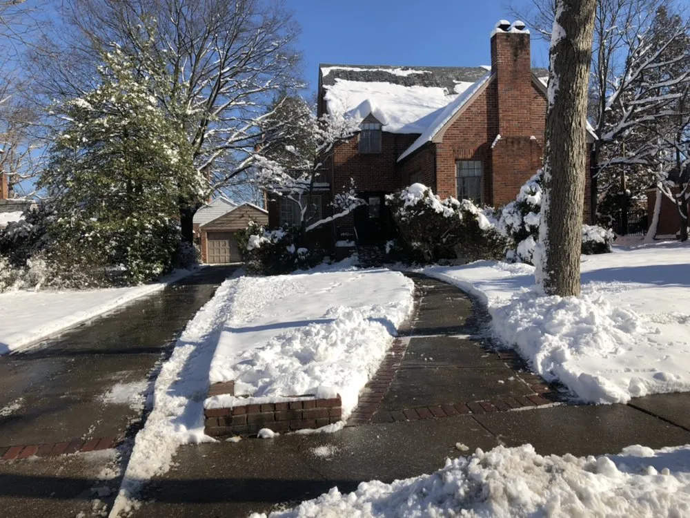 Professional yard cleanup service for homes in Alexandria, VA by I'll Take Care Of That