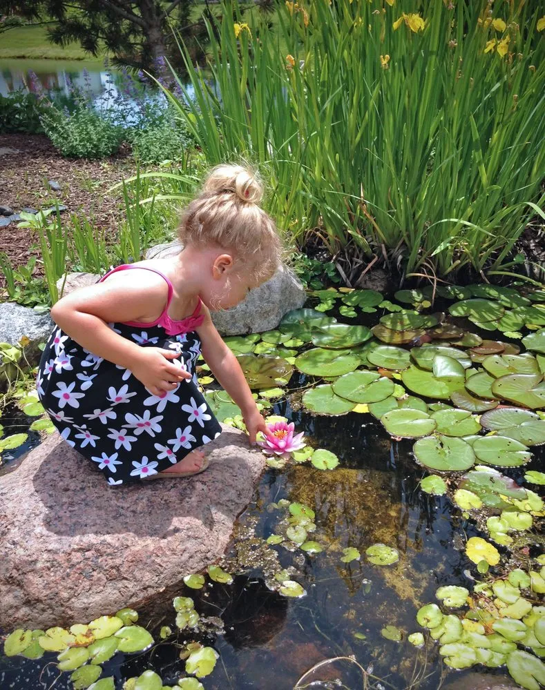 Local landscaping services experts serving Schererville, IN - Illiana Water Features