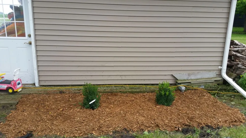 Top-rated residential landscaping in Secor, IL - Illinois Central Lawn Care
