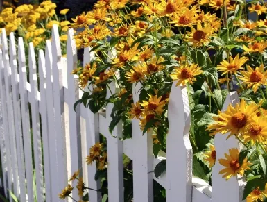 Local lawn mowing service in Brookfield, IL - Illinois Iron Works