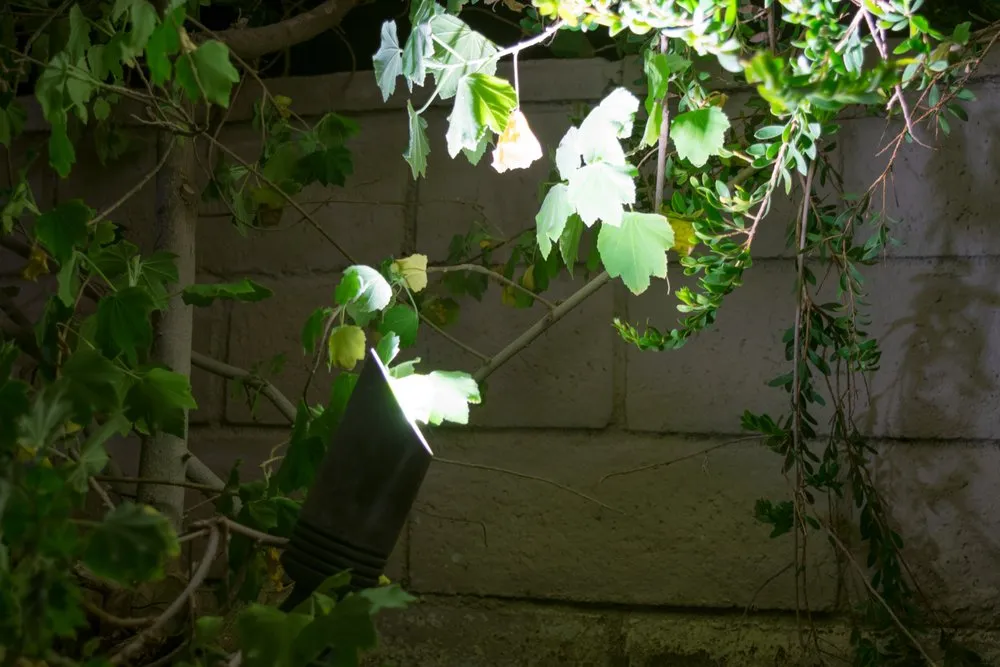 Top-rated lawn care service experts serving Wake forest, NC - Illumatec LED Landscape Lighting