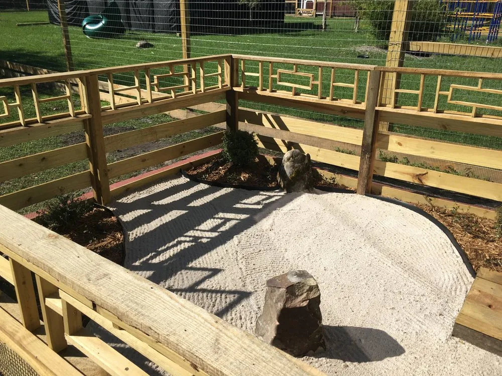 Local outdoor landscaping in Groveland, FL - IllumeVista Landscape Lighting