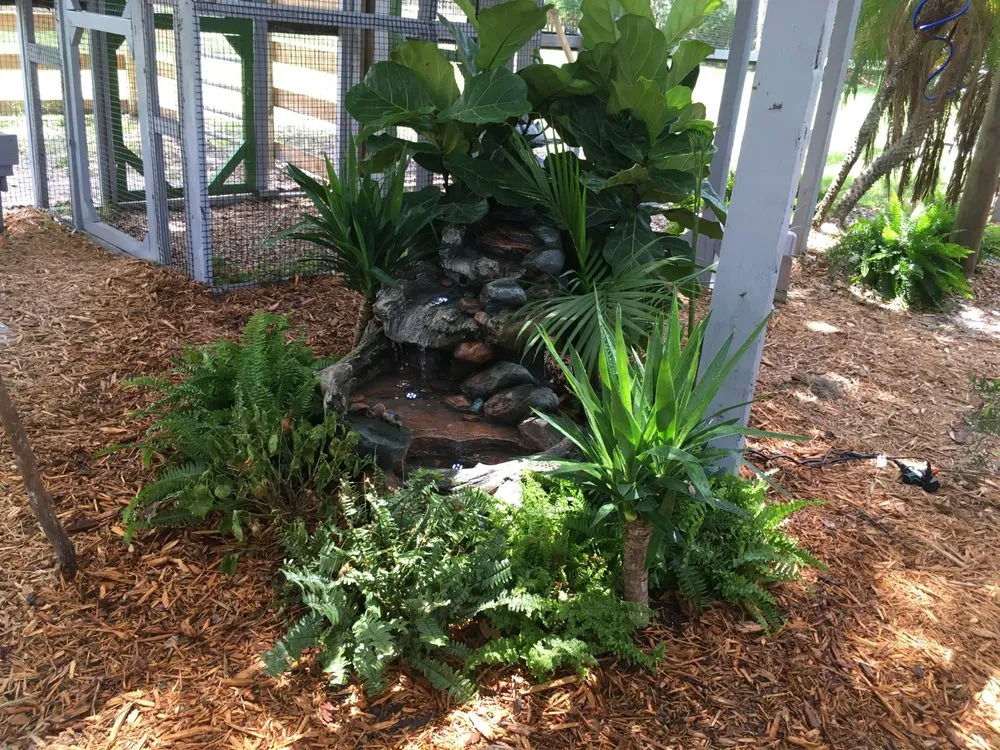 Affordable yard maintenance in Groveland, FL by IllumeVista Landscape Lighting