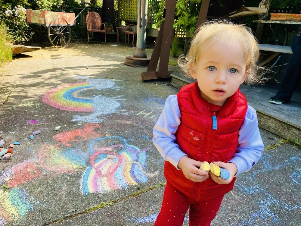 Custom landscape installation experts serving Mill Valley, CA - Illumigarden