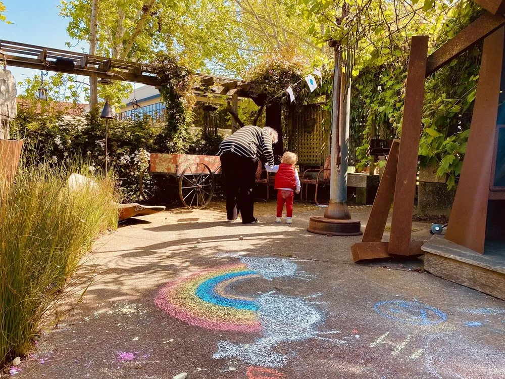 Trusted outdoor landscaping experts serving Mill Valley, CA - Illumigarden