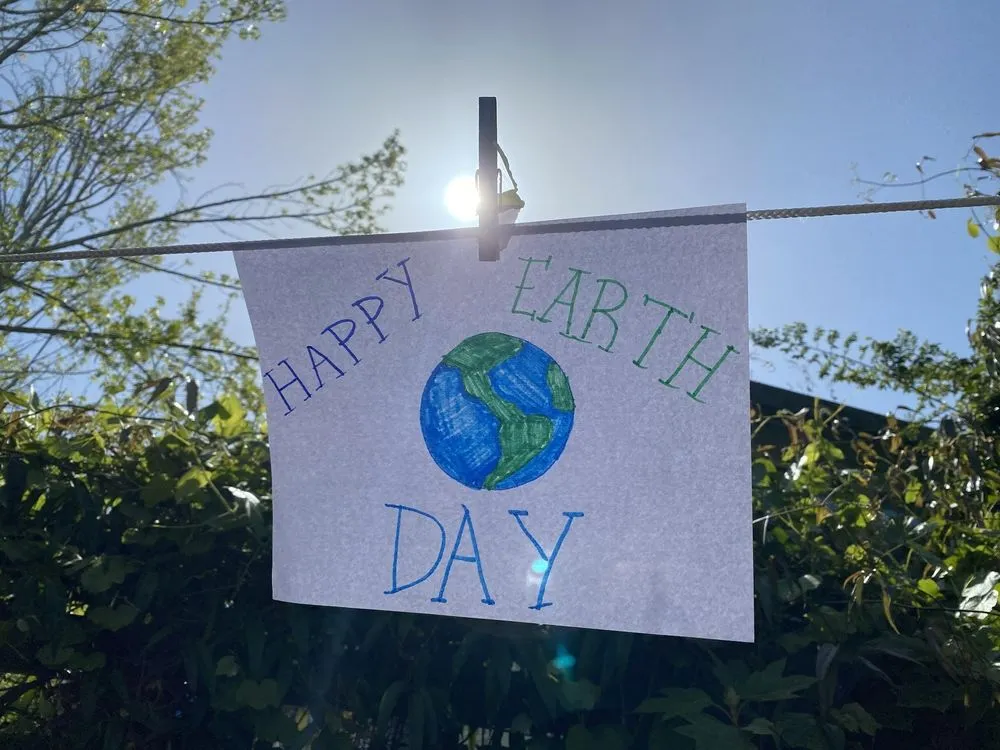 Local landscaping services for residential properties across Mill Valley, CA - Illumigarden