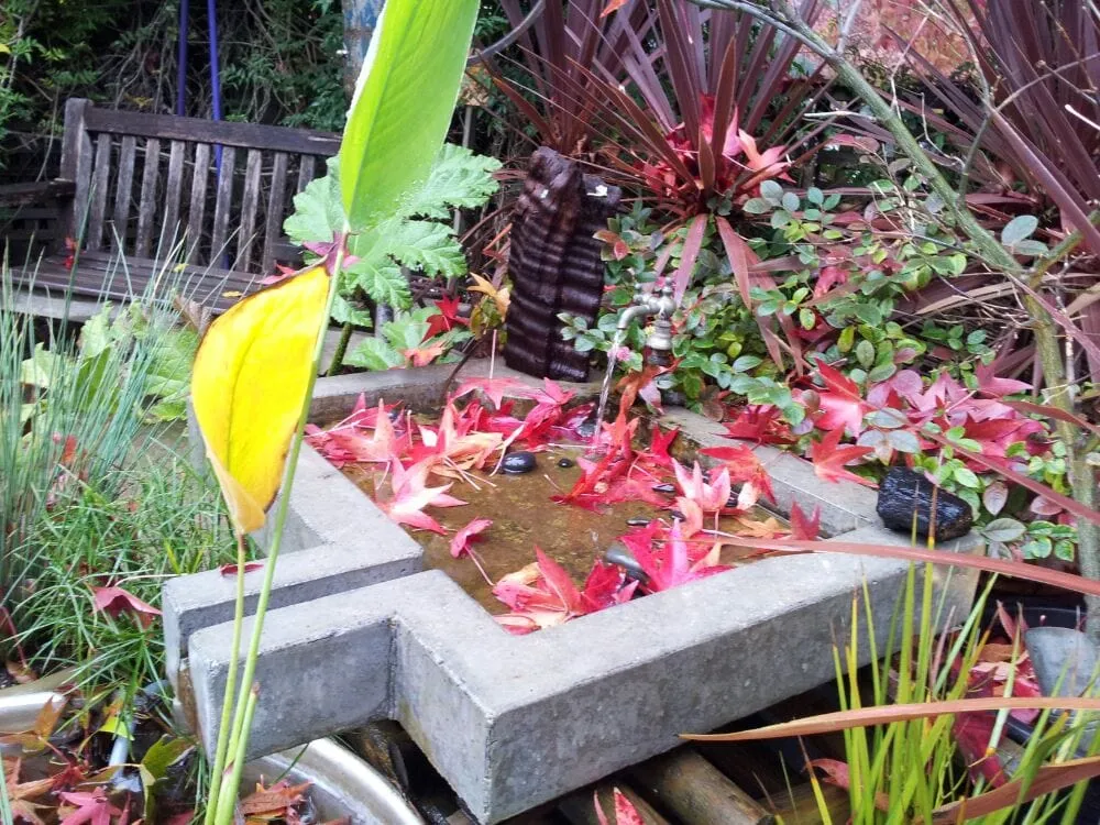 Custom landscape design in Mill Valley, CA by Illumigarden