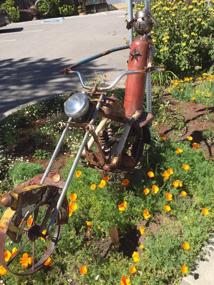 Top-rated lawn care service in Mill Valley, CA - Illumigarden