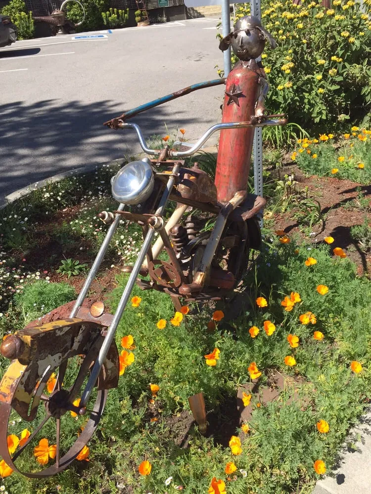 Custom lawn mowing service for outdoor upgrades across Mill Valley, CA - Illumigarden