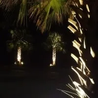 Expert lawn mowing service for homes in Ladson, SC by Illuminating Landscapes