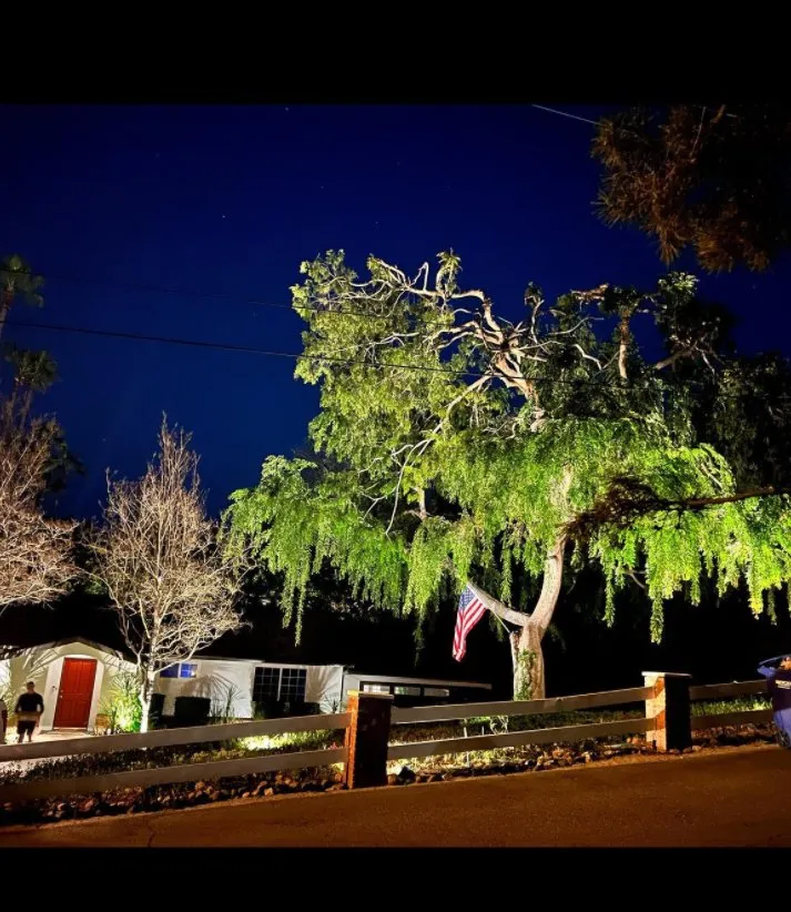 Reliable yard maintenance with custom design across San Diego, CA - Illumino Landscape