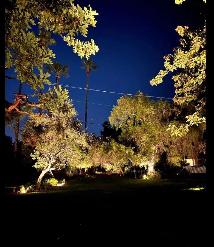 Top-rated lawn care service experts serving San Diego, CA - Illumino Landscape