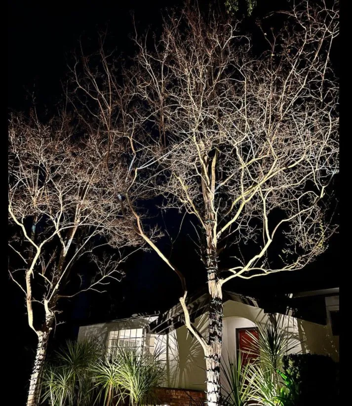 Affordable landscape design in San Diego, CA by Illumino Landscape