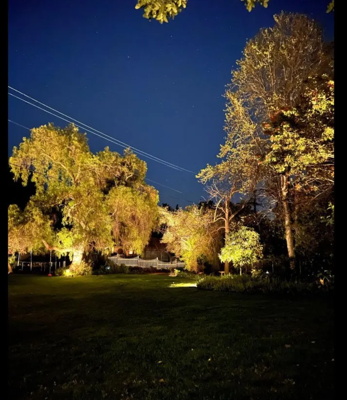 Top-rated landscape installation for year-round maintenance across San Diego, CA - Illumino Landscape