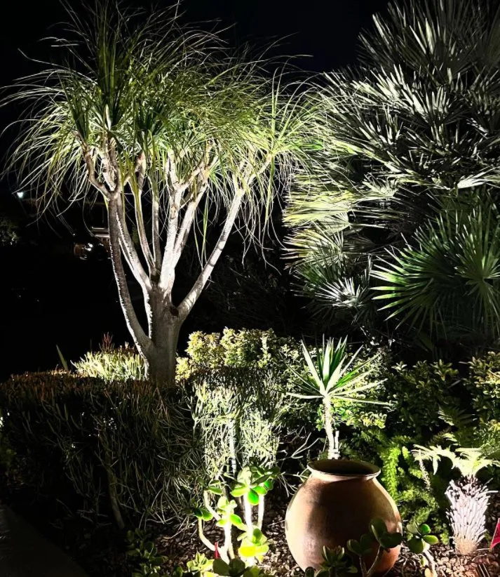 Reliable landscaping services experts serving San Diego, CA - Illumino Landscape