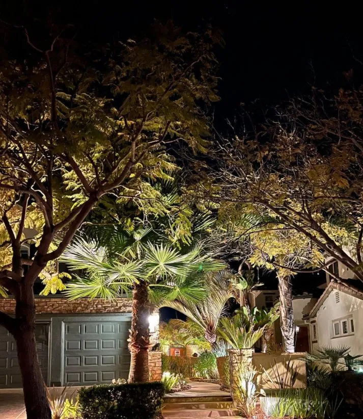 Reliable yard maintenance in San Diego, CA by Illumino Landscape