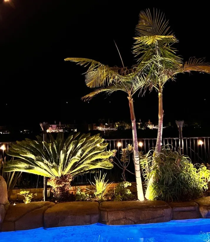 Expert residential landscaping experts serving San Diego, CA - Illumino Landscape