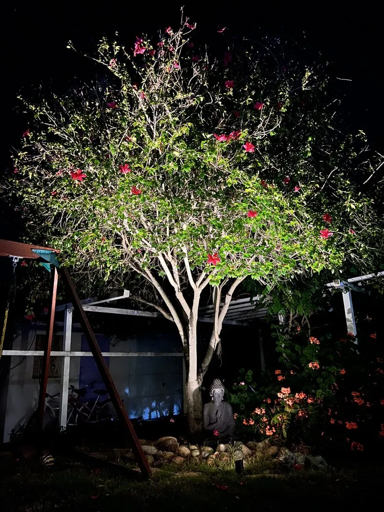 Trusted garden landscaping in San Diego, CA by Illumino Landscape