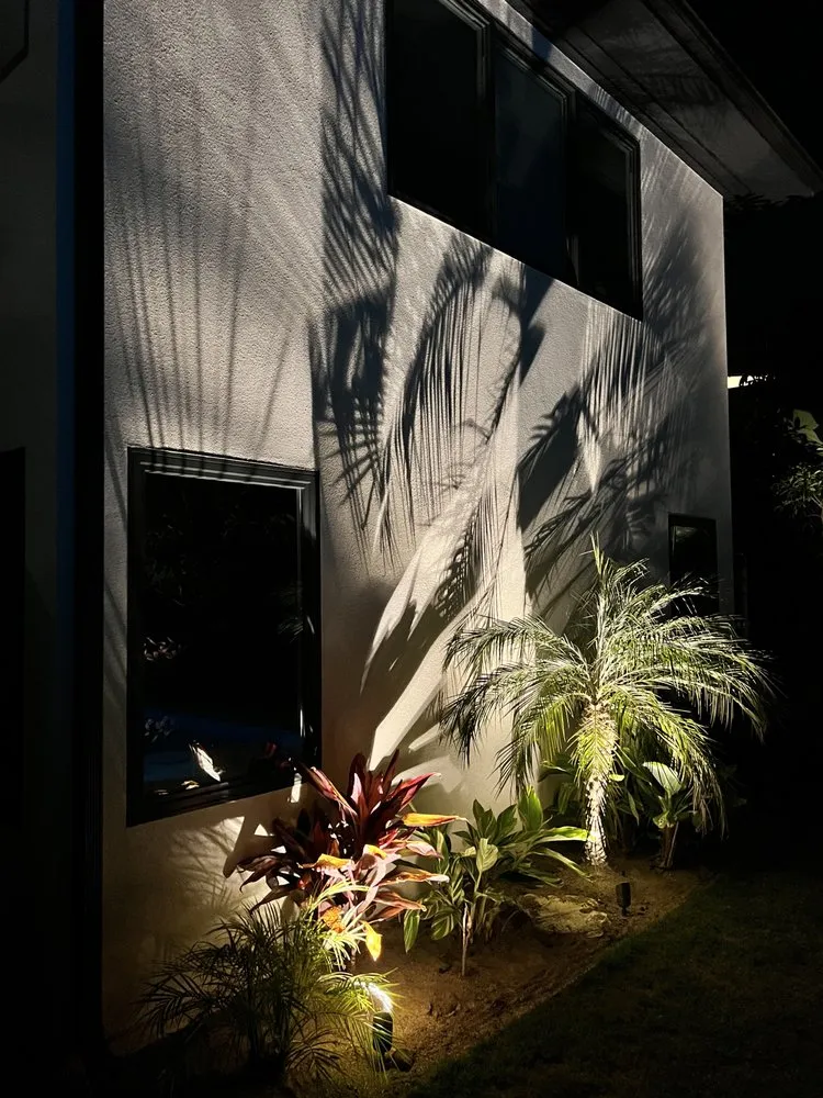 Local yard maintenance experts serving San Diego, CA - Illumino Landscape