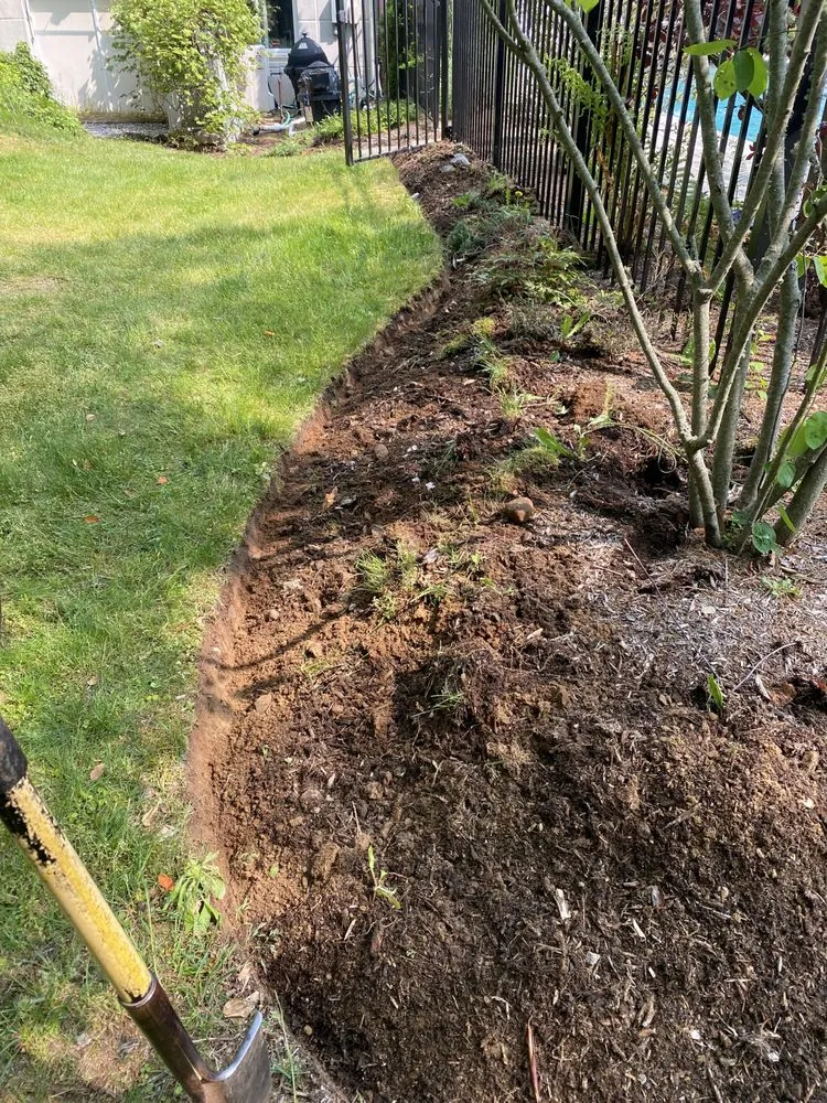 Trusted lawn care service for beautiful yards across Clinton, CT - Iluminado Landscamping