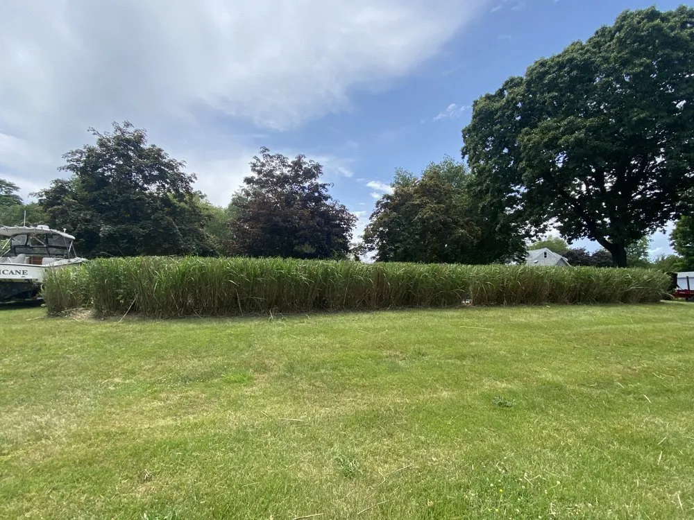 Professional yard maintenance with custom design in Clinton, CT by Iluminado Landscamping