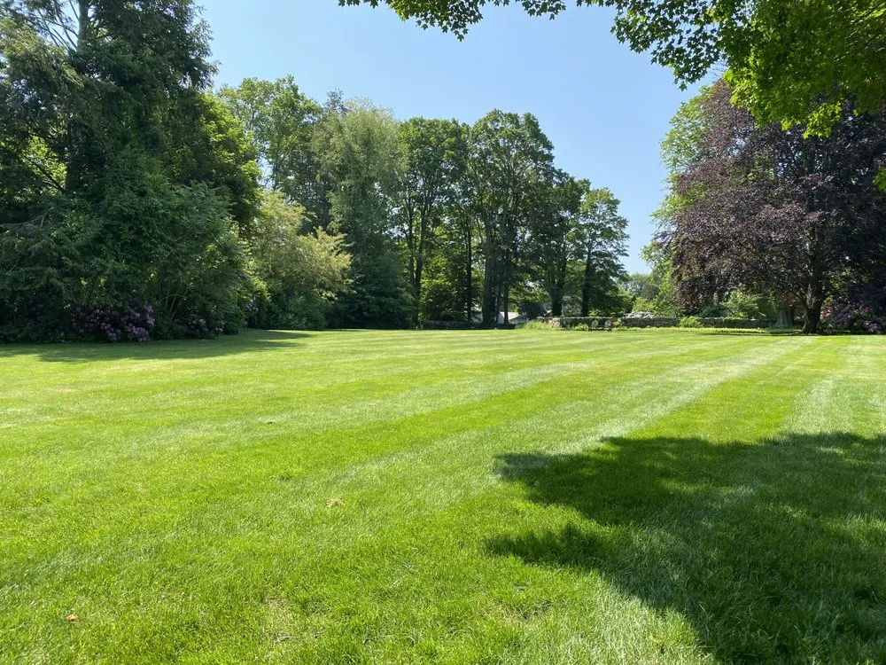 Expert residential landscaping experts serving Clinton, CT - Iluminado Landscamping