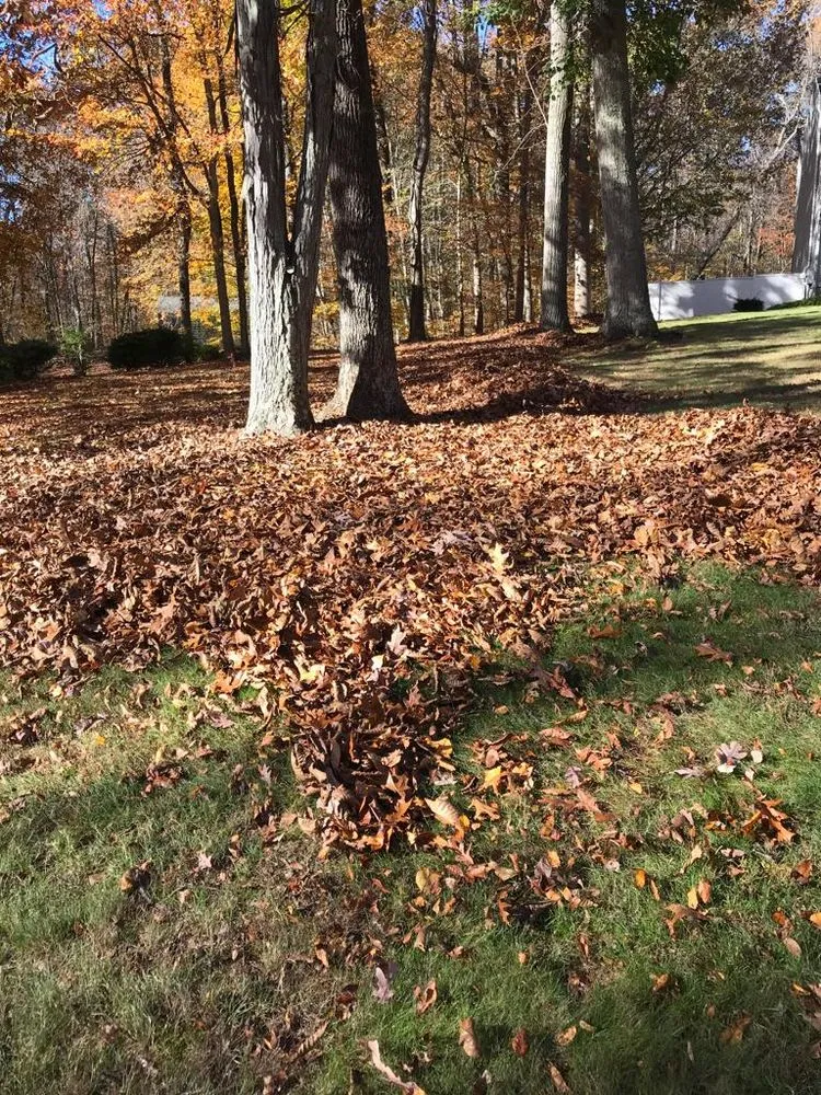 Expert landscape design experts serving Clinton, CT - Iluminado Landscamping