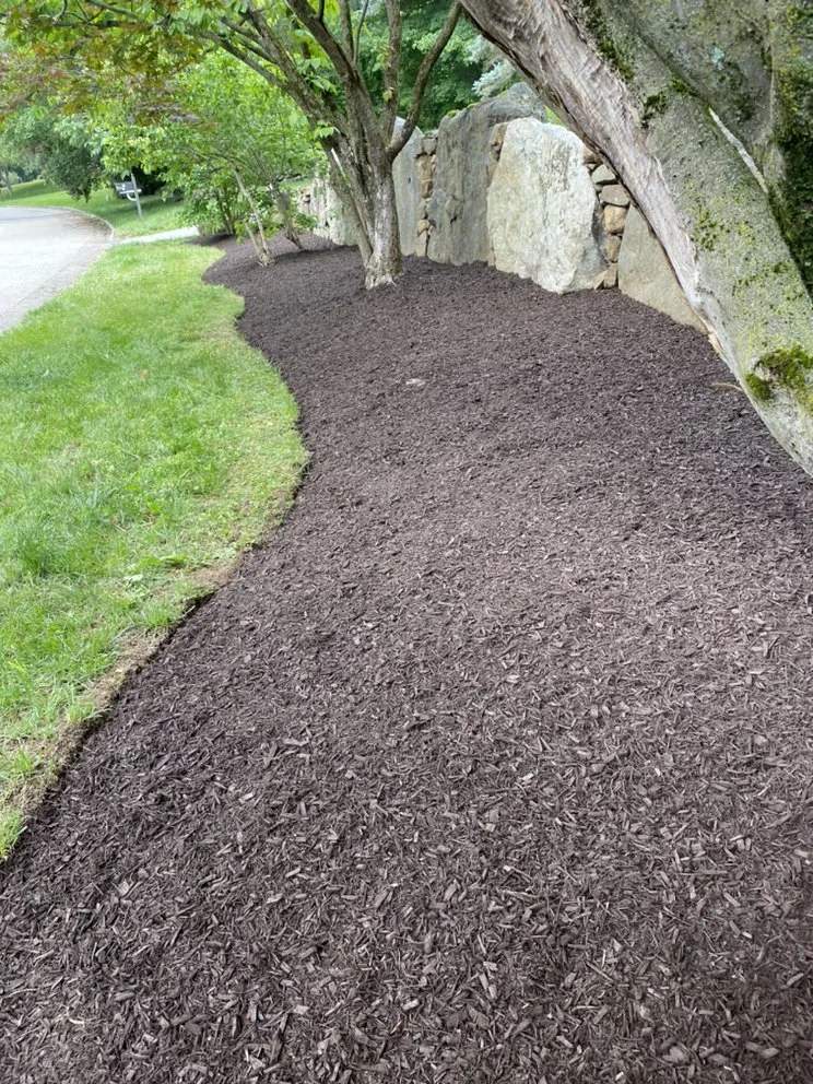 Trusted lawn care service for beautiful yards across Peekskill, NY - IM Landscaping & Masonry