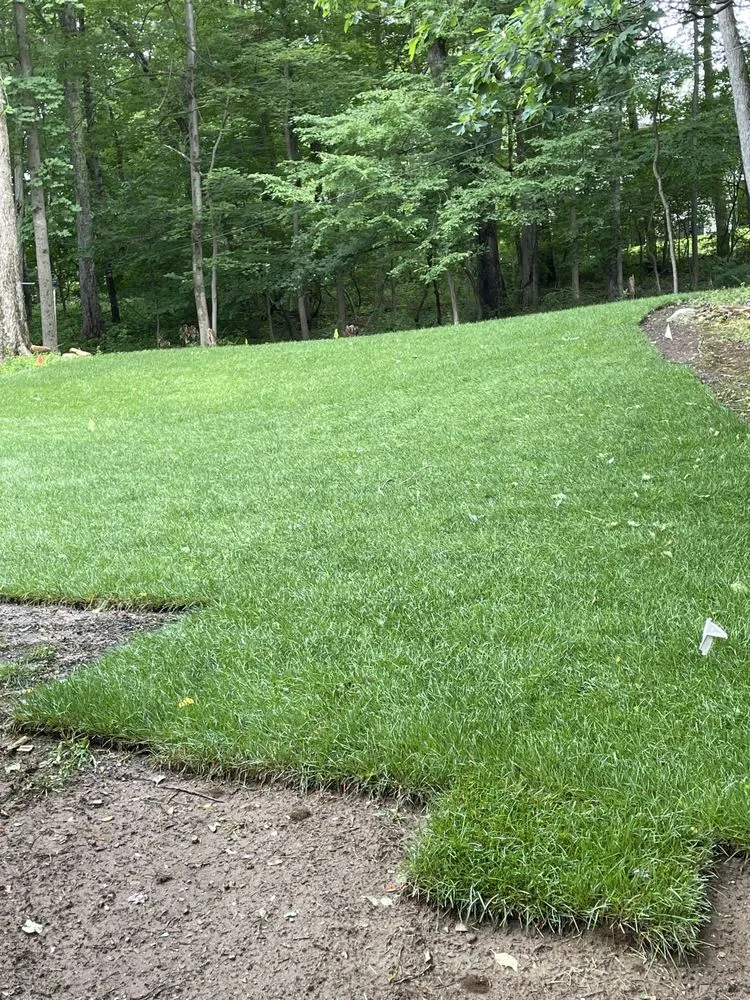 Trusted yard maintenance in Peekskill, NY by IM Landscaping & Masonry