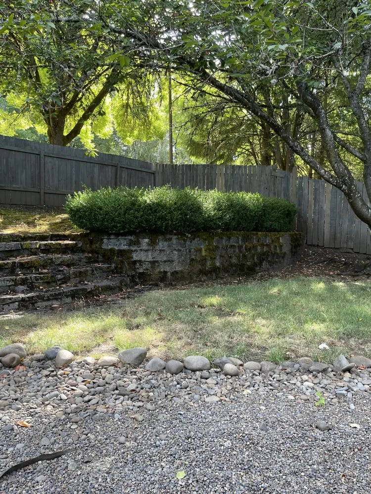 Top-rated lawn care service for homes across Beaverton, OR - I&M Landscsping