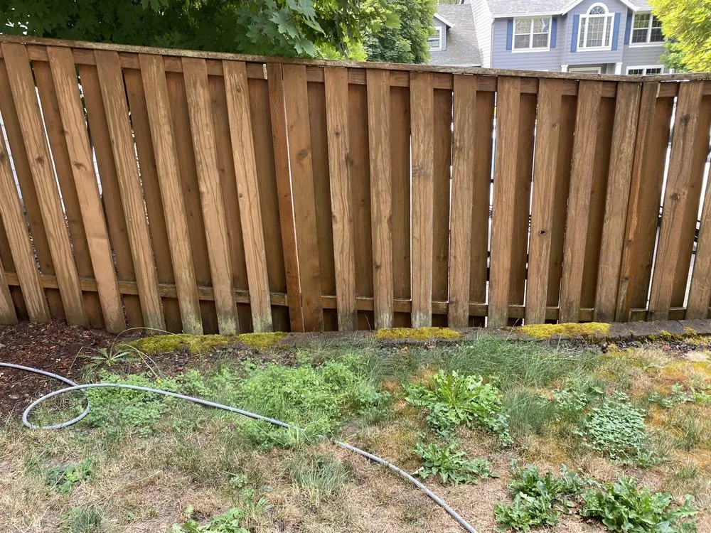 Custom yard maintenance experts serving Beaverton, OR - I&M Landscsping