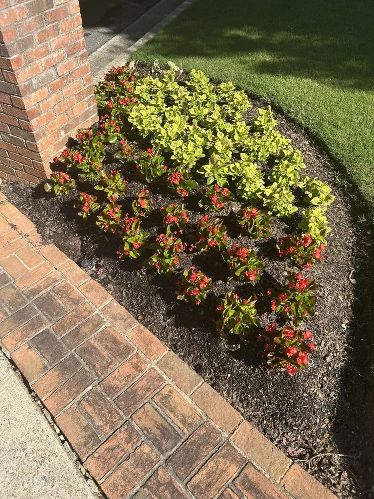 Expert outdoor landscaping experts serving Kennesaw, GA - I&M Scapes