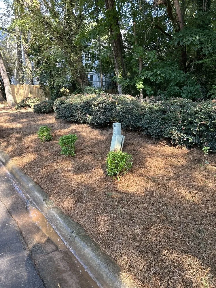 Expert landscape design experts serving Kennesaw, GA - I&M Scapes