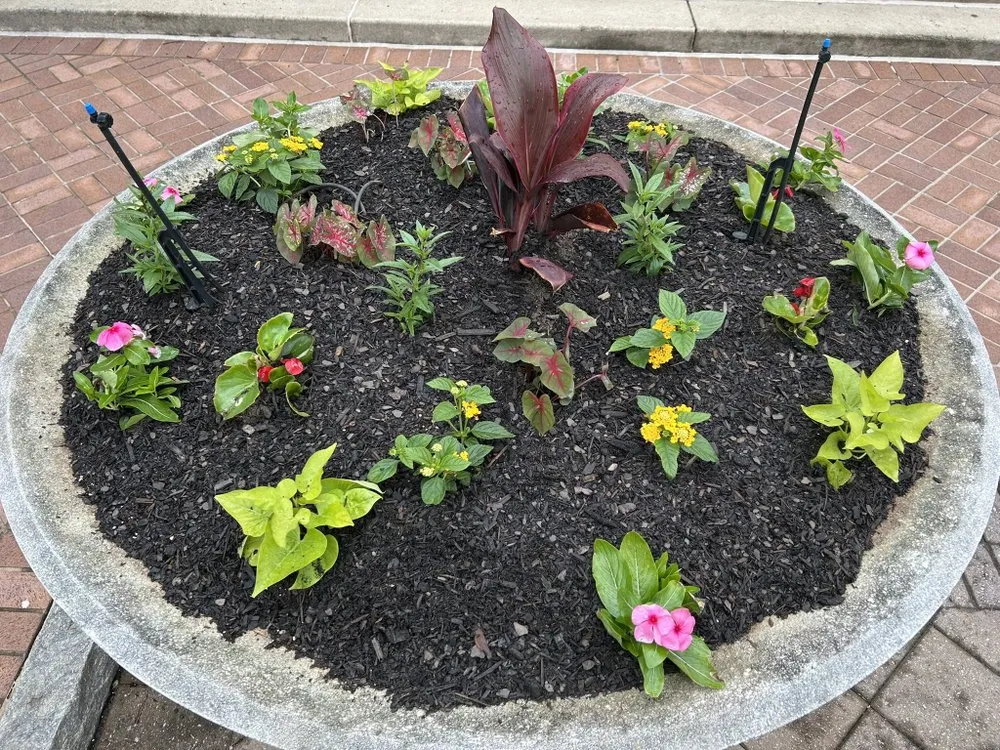 Trusted residential landscaping in Kennesaw, GA - I&M Scapes