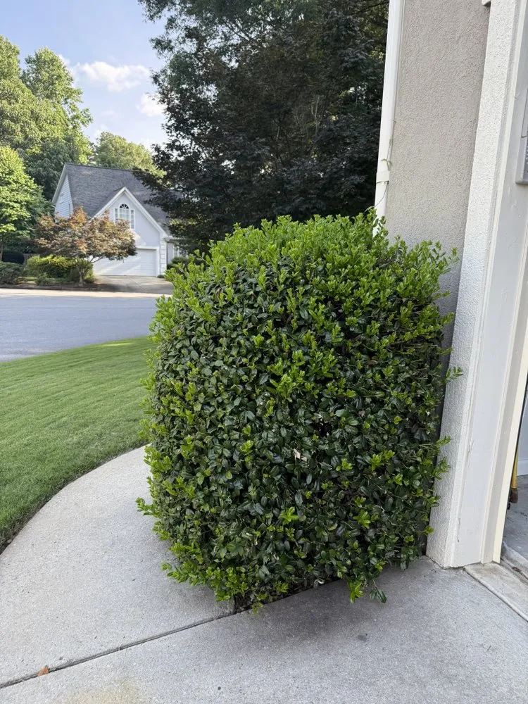 Reliable landscaping services for residential properties in Kennesaw, GA by I&M Scapes