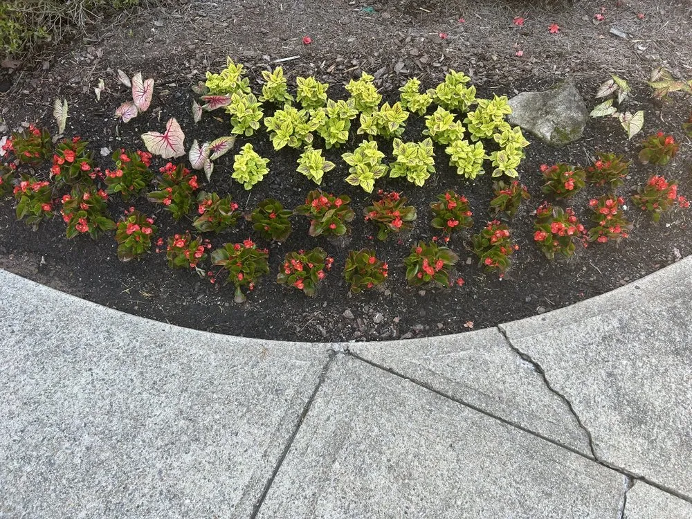Local garden landscaping in Kennesaw, GA - I&M Scapes