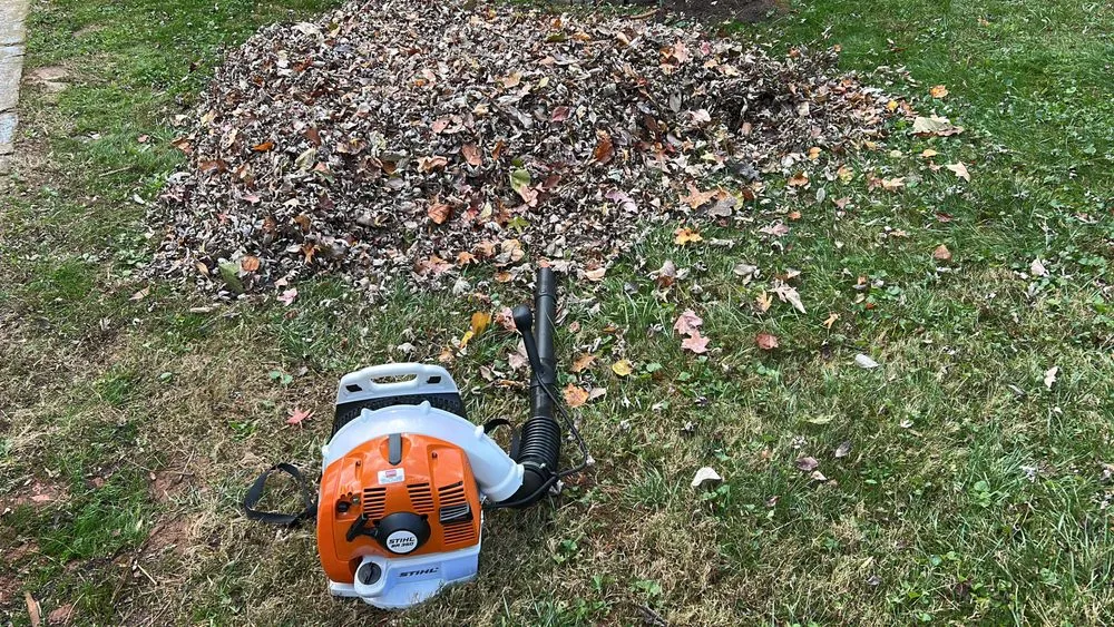 Affordable yard maintenance in Kennesaw, GA by I&M Scapes