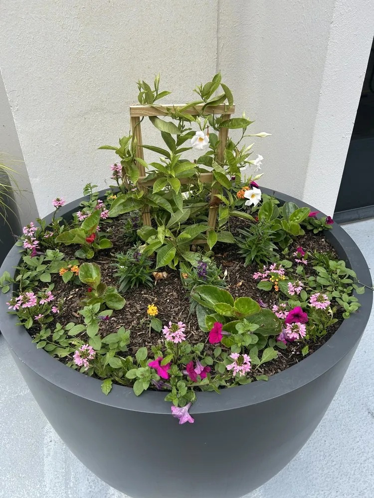 Reliable landscape design experts serving Kennesaw, GA - I&M Scapes