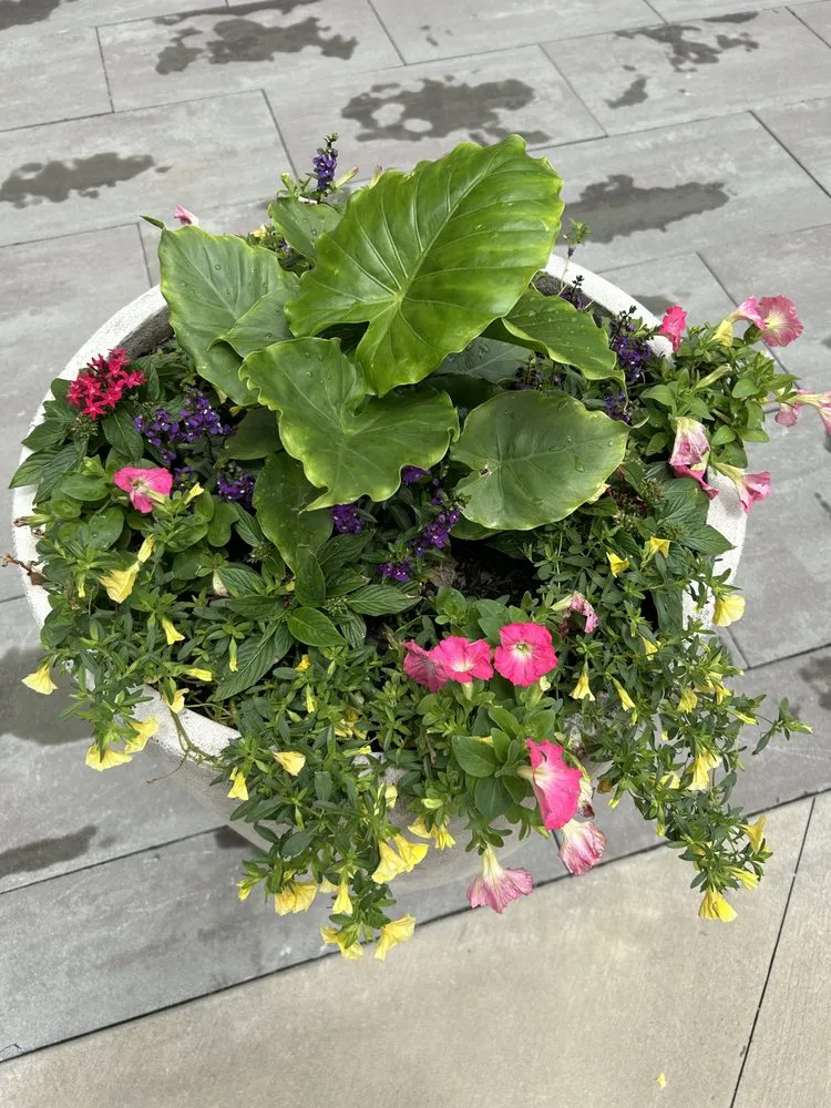 Affordable outdoor landscaping for year-round maintenance across Kennesaw, GA - I&M Scapes