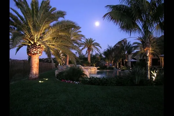 Local landscape design in San Antonio, TX by Image Landscape Design-Build Professionals