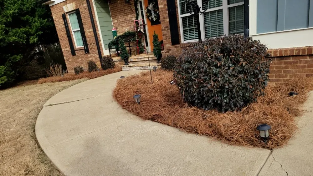 Affordable lawn care service experts serving Kennesaw, GA - Image Landscape Services